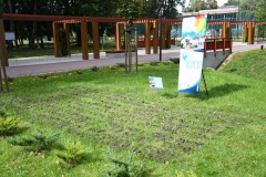 20-Pola-Nadziei-w-Miechowie-09