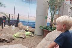 2023-SP-Antolka-Wroclaw-03