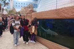 2023-SP-Antolka-Wroclaw-04