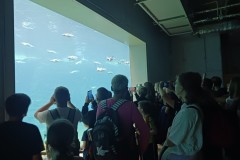 2023-SP-Antolka-Wroclaw-06