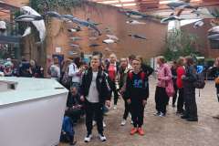 2023-SP-Antolka-Wroclaw-07