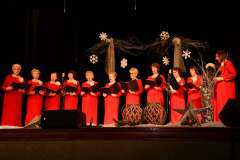 2024-koncert-koled-i-pastoralek-CKiS-Miechow-024