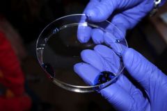 2024-GOK-Kozlow-Rownac-Szanse-027