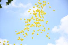 2024-Pola-Nadziei-Miechow-054