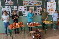 461866719_1080132927025745_8976884848472740299_n