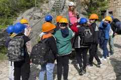 437562347_942532887454044_43851180392201031_n