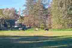 2024-SP-Antolka-wycieczka-po-Roztoczu-04