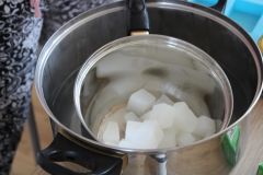 IMG_2547