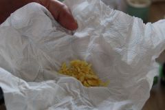 IMG_2573
