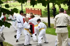 2025-Piknik-charytatywny-w-Parku-w-Miechowie-029
