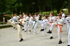 2025-Piknik-charytatywny-w-Parku-w-Miechowie-039
