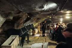 2025-SP-Ksiaz-Maly-wycieczka-do-Wieliczki-010