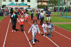 III Charytatywny Bieg Konstytucji 3 Maja, Miechów maj 2017, fot. K. Capiga