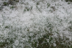 Gmina Gołcza - skutki niedzielnej nawałnicy - miechowski.pl - fot. UG Gołcza