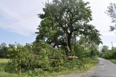 Skutki wichury w Marcinowicach - miechowski.pl - fot. K. Capiga