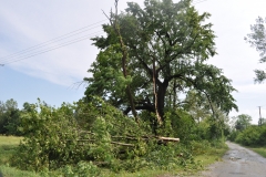 Skutki wichury w Marcinowicach - miechowski.pl - fot. K. Capiga