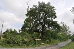Skutki wichury w Marcinowicach - miechowski.pl - fot. K. Capiga