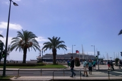 Madera - Agata na końcu ŚWIATA - miechowski.pl