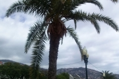 Madera - Agata na końcu ŚWIATA - miechowski.pl