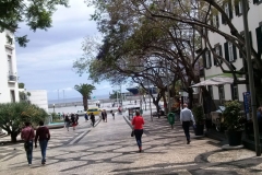 Madera - Agata na końcu ŚWIATA - miechowski.pl