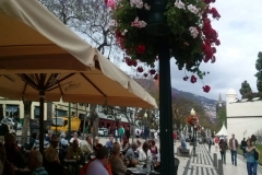 Madera - Agata na końcu ŚWIATA - miechowski.pl