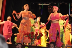 Międzynarodowe Małopolskie Spotkania z Folklorem - Miechów 2016 - Kostaryka - miechowski.pl - fot. K. Capiga