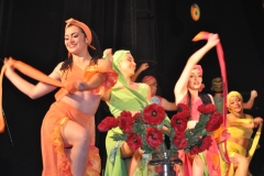 Międzynarodowe Małopolskie Spotkania z Folklorem - Miechów 2016 - Kostaryka - miechowski.pl - fot. K. Capiga