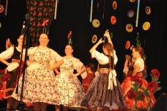 Międzynarodowe Małopolskie Spotkania z Folklorem - Miechów 2016 - Węgry