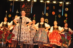 Międzynarodowe Małopolskie Spotkania z Folklorem - Miechów 2016 - Węgry