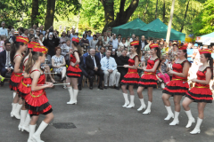 Pola Nadziei 2016 -mażoretki ze Skalbmierza - miechowski.pl - fot. K. Capiga