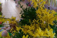 IMG_20190409_101532