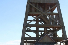 Brazylijczycy w Dalach- miechowski.pl