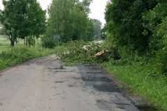 Nawałnica nad Miechowem, jej obraz i skutki