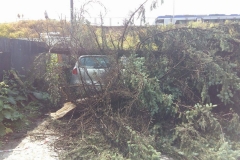 Nawałnica nad Miechowem, jej obraz i skutki