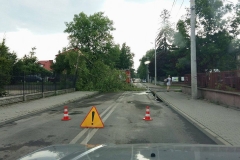 Nawałnica nad Miechowem, jej obraz i skutki