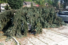 Nawałnica nad Miechowem, jej obraz i skutki