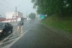 Nawałnica nad Miechowem, jej obraz i skutki