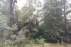 Nawałnica nad Miechowem, jej obraz i skutki