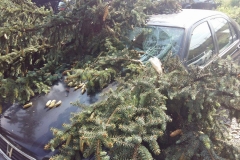 Nawałnica nad Miechowem, jej obraz i skutki