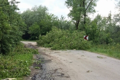 Nawałnica nad Miechowem, jej obraz i skutki