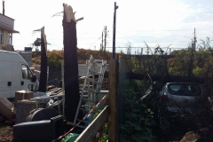 Nawałnica nad Miechowem, jej obraz i skutki