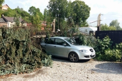 Nawałnica nad Miechowem, jej obraz i skutki