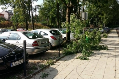 Nawałnica nad Miechowem, jej obraz i skutki