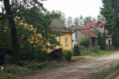 Nawałnica nad Miechowem, jej obraz i skutki