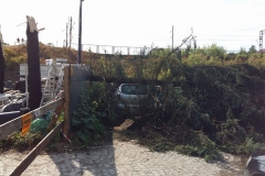 Nawałnica nad Miechowem, jej obraz i skutki