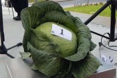 2021-09-12-charsznicka-kapusta-05