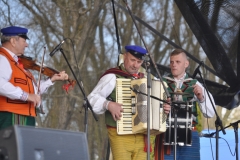 Wybory Chłopa Roku 2017 - kapela Łukasza Arcaba - fot. K. Capiga