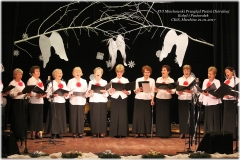 „Jesienne Róże” z CKiS w Miechowie