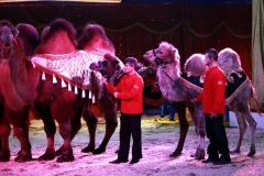 Cyrk Zalewski - miechowski.pl