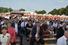 Dni Kapusty 2016 - miechowski.pl - fot. K. Capiga